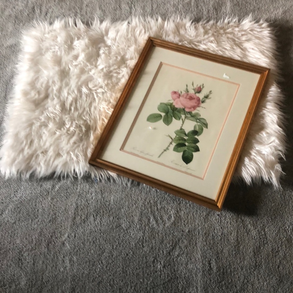 Classic authentic rustic rose framed